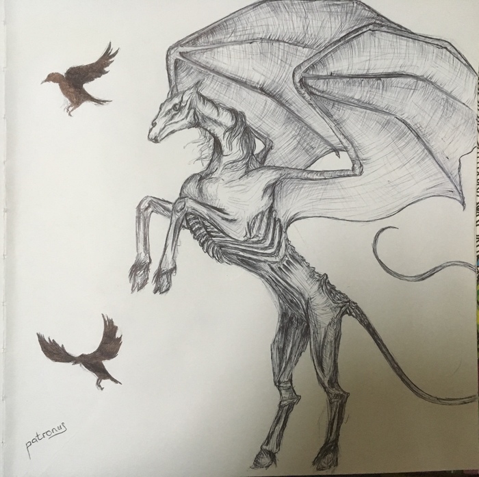 Thestral - My, Art, Black pen, Festrals