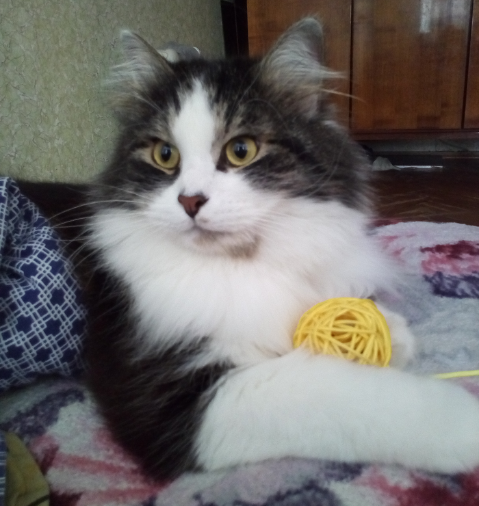 Путь к сердцу мужчины.