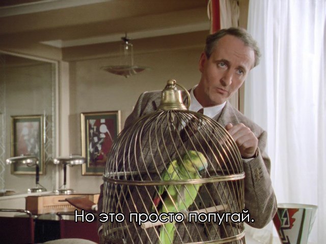 A parrot - Hercule Poirot, English humor, Longpost