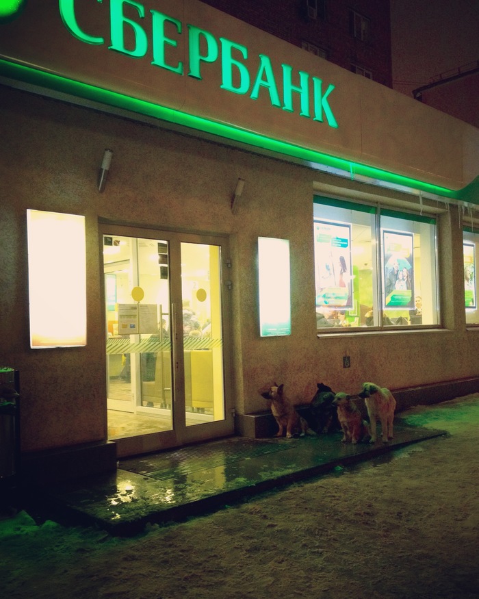 Waiting for approval... - My, Sberbank, Year of the dog, 2018, My, Samara