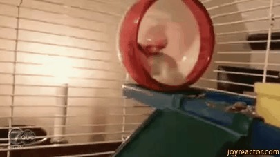    ,     ...