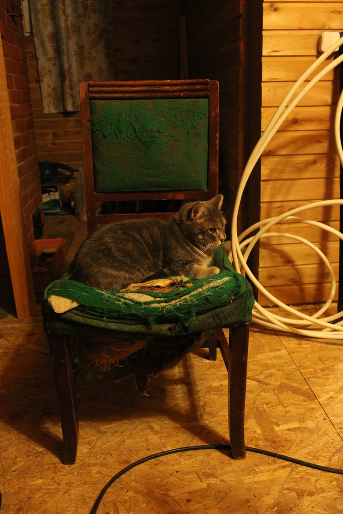 There are two chairs - My, Longpost, cat, Carpenter, Furniture, Repair