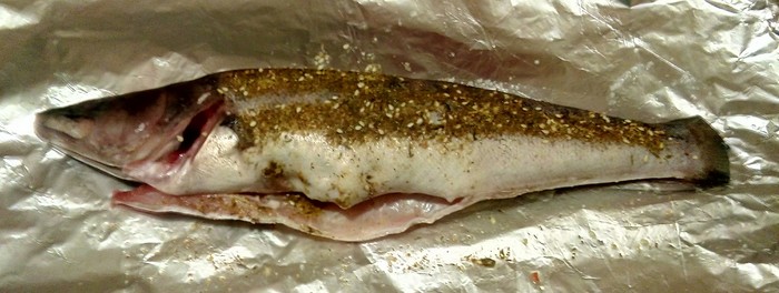 baked zander - A fish, Zander, Baking, Recipe, Fish perch