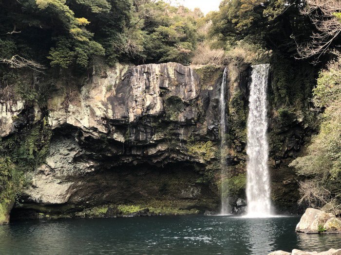 1519143546182082648 чеджу еда что это