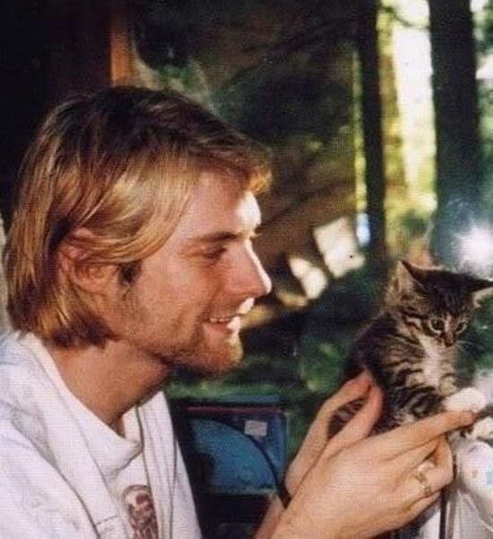 Kitty and his Kurt Cobain - , cat, Kurt Cobain