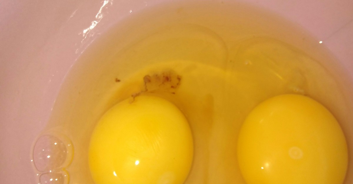 Как определить оплодотворенное яйцо курицы