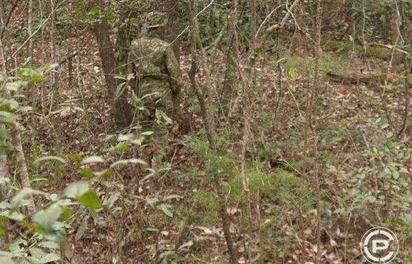 Where is the soldier hiding? - Images, Task, Longpost