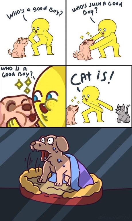 Who is the good boy? - Comics, Good boy, Nightmare, Dog, cat