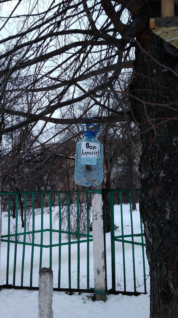 Украина - це Европа! - Не политика, Кормушка, Приятного аппетита, Фотография