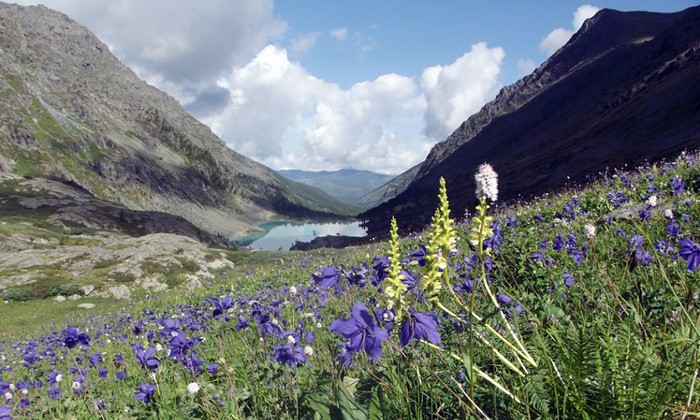 рыба в мультинских озерах. Смотреть фото рыба в мультинских озерах. Смотреть картинку рыба в мультинских озерах. Картинка про рыба в мультинских озерах. Фото рыба в мультинских озерах рыба в мультинских озерах. Смотреть фото рыба в мультинских озерах. Смотреть картинку рыба в мультинских озерах. Картинка про рыба в мультинских озерах. Фото рыба в мультинских озерах