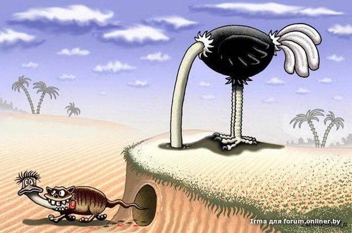 Be careful - Ostrich, Caricature, Drawing, Humor