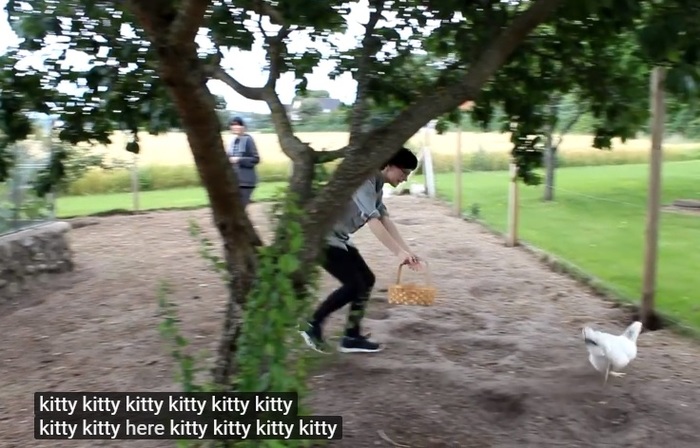 How do you lure your chicken? - Subtitles, Kitty Kitty, Hen, Screenshot, 