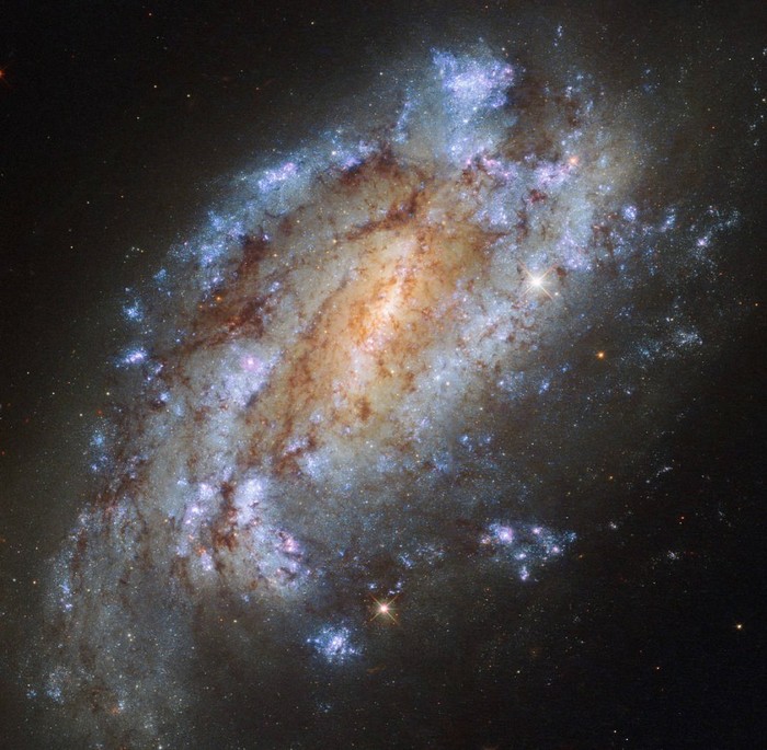  NGC 1559.     ?   ,      ...