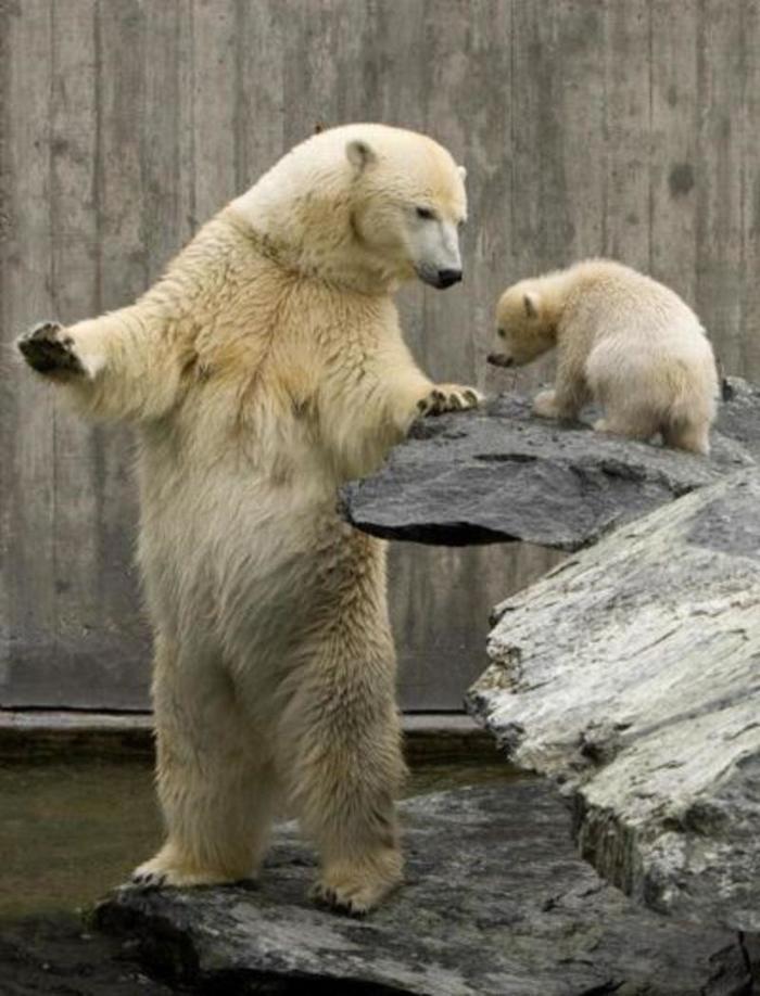 Есть горячее, есть лучшее, не заходи в свежее