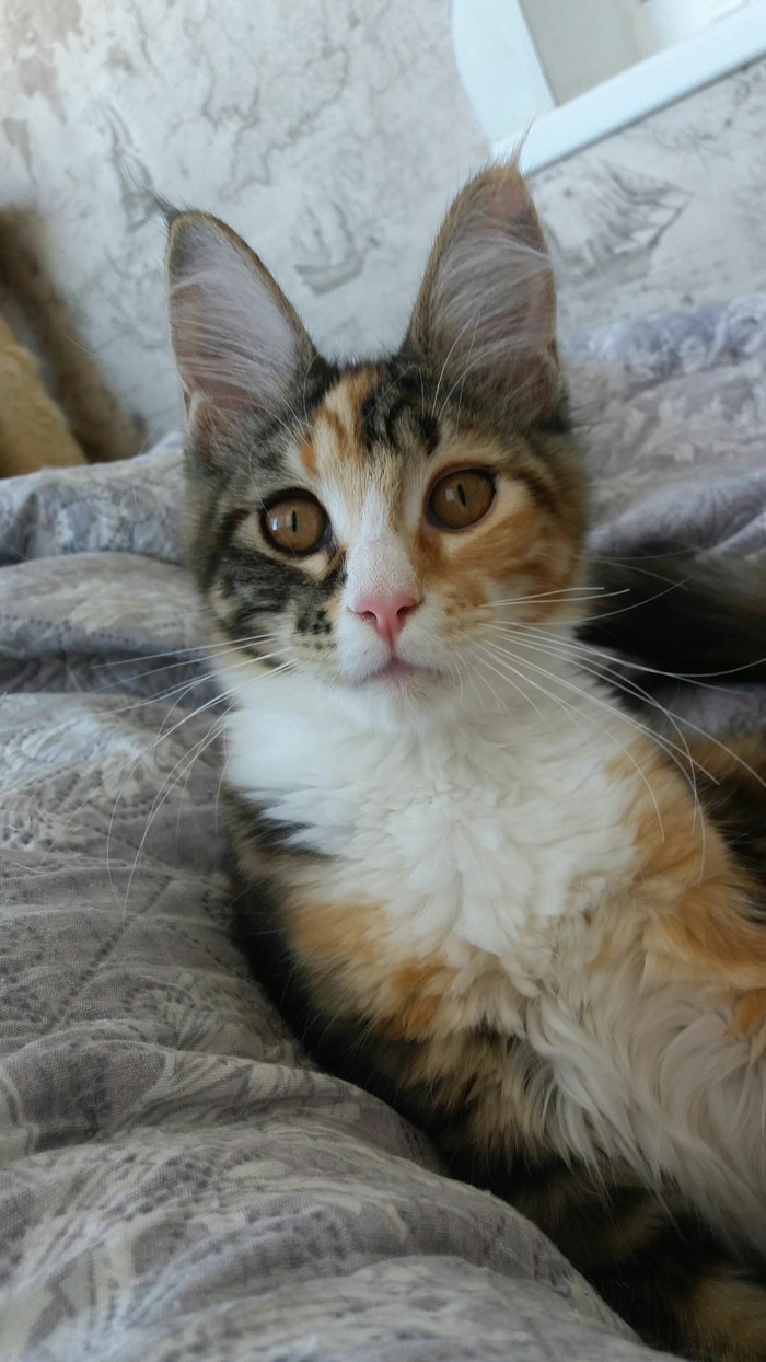 ������������ �����, � ���...