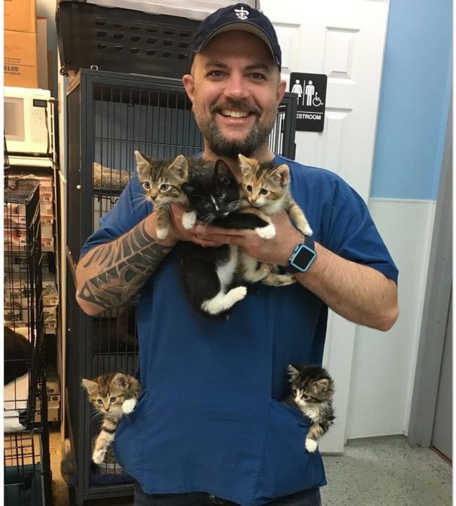 “One, two, three, four, five – start hugging!” Every morning he gets a basket of kittens and starts working miracles...) - Vet, cat, Work, The rescue, Longpost