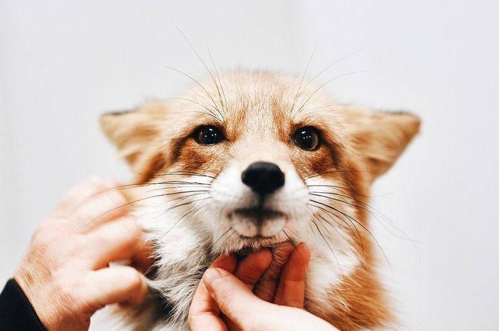     ^.^