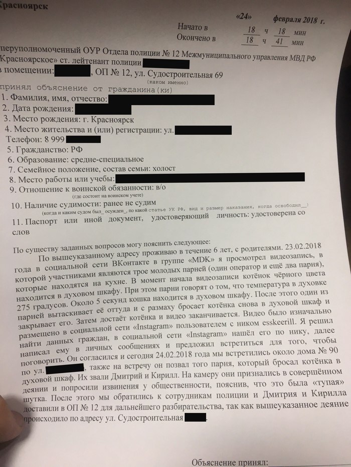 Нашли щеглов. Продолжение истории про кошку и духовку (Красноярск) - Моё, Кот, Духовка, Красноярск, Кошкимоялюбовь, Видео, Длиннопост