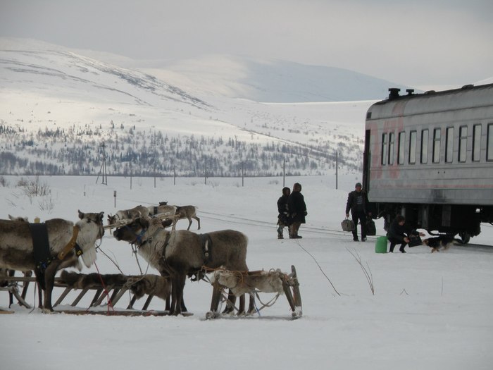 Polar exotic. - Railway, Russian Railways, A train, Arctic