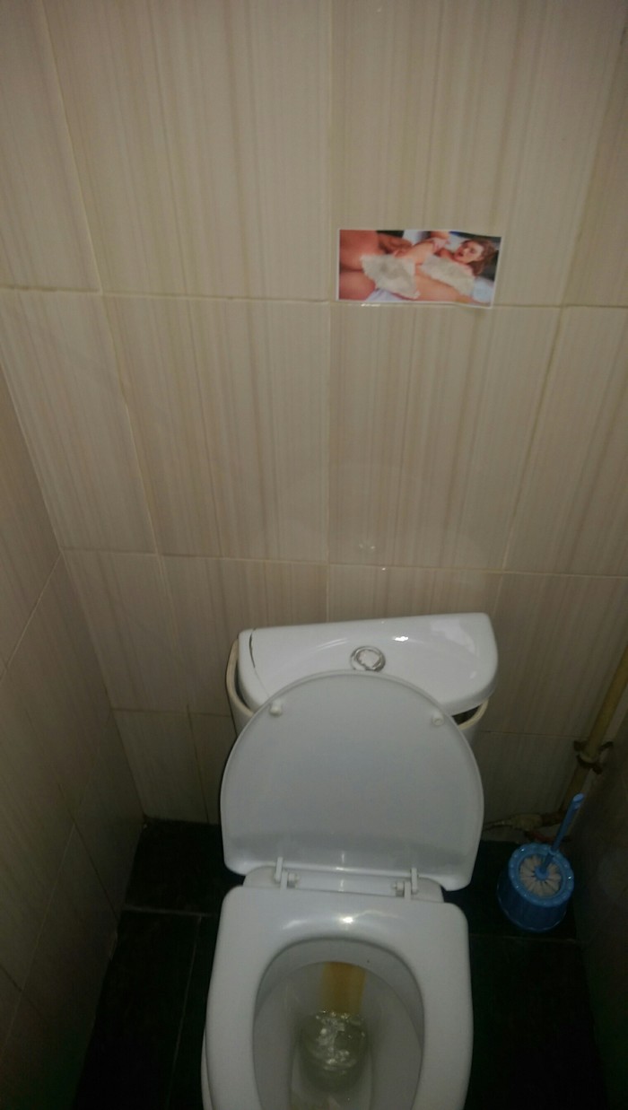 Entertaining toilet. - NSFW, My, Strawberry, Toilet, Entertainment