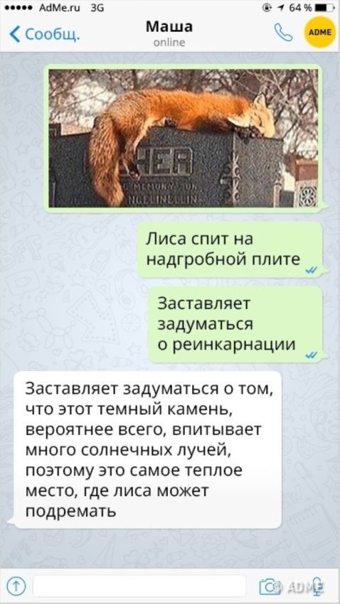 СМС-ки, доказывающие, что женская логика — сложная наука - Женская логика, СМС, Длиннопост