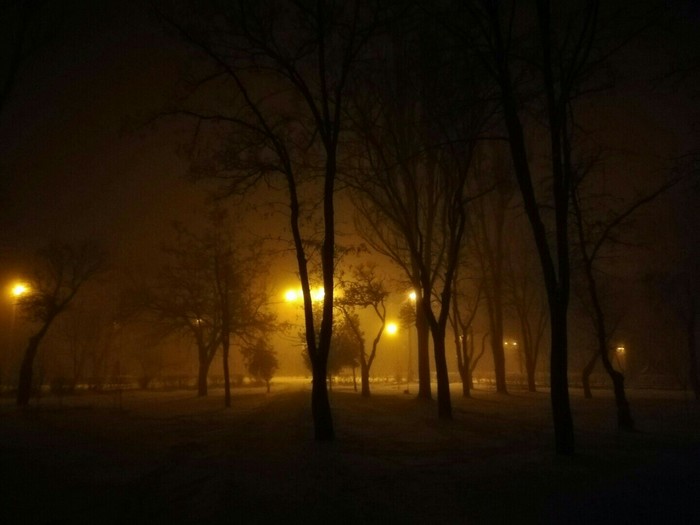 Foggy winter evening - Winter, Fog, My, Night