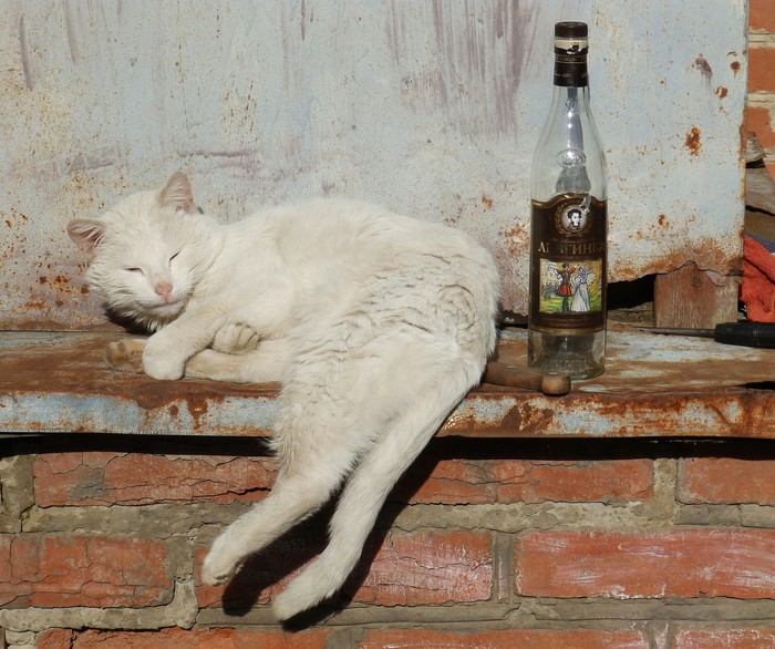 ���������� ��� � ���������