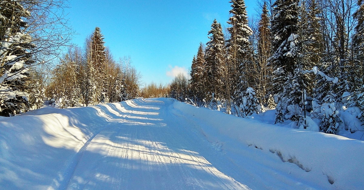 зимняя уссурийская тайга. зимник симаки. зимники коми. якутск сангары дорога по зимнику. уссурийское зимовье тайга.