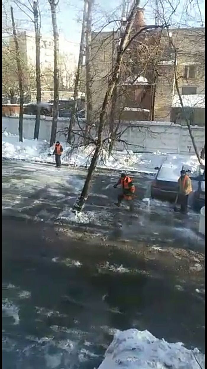 Preparing for the elections - My, Snow removal, Moscow, Courtyard, Tree, Salt, Ice, , Street cleaner, Longpost