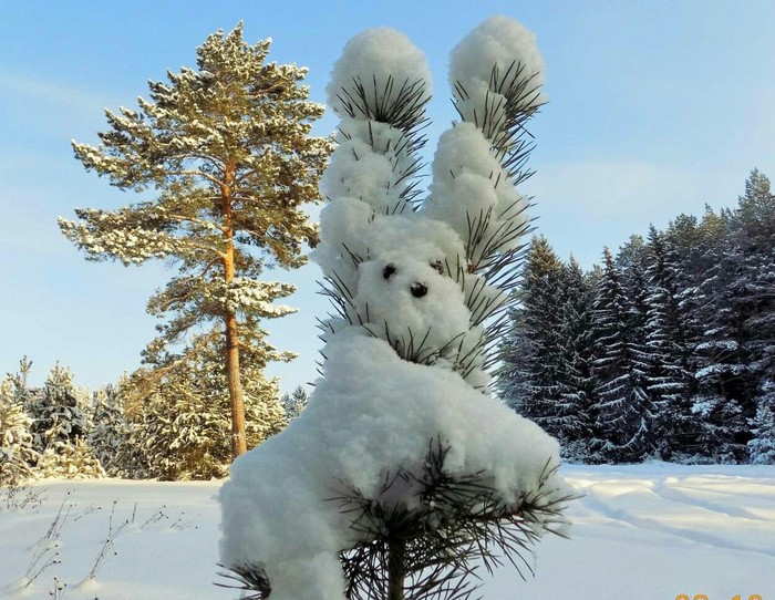 Зима создатель - Моё, Зима, Снег, Природа, Красота природы, Лес