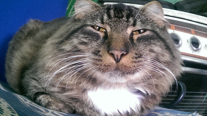 Просто коммент