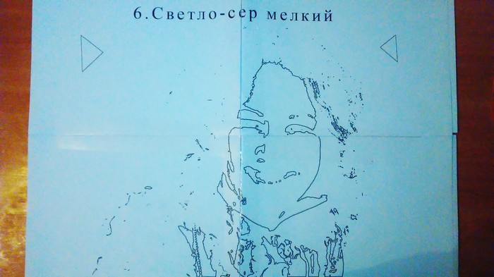 что такое макет портрета. Смотреть фото что такое макет портрета. Смотреть картинку что такое макет портрета. Картинка про что такое макет портрета. Фото что такое макет портрета