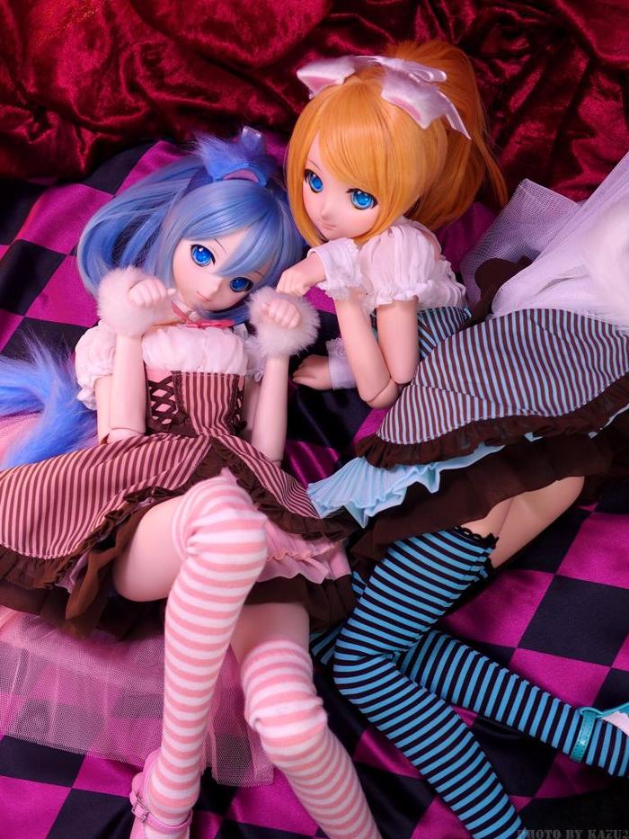 DollfieDream -   Dollfiedream,  , , , , 