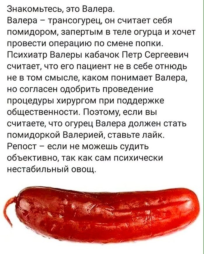 Транссексуалы, трансвеститы и все прочие трансгендеры.