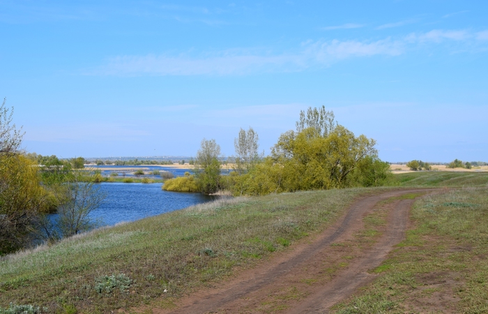 A little bit of spring in a ribbon - My, Nikon d3300, Landscape, Spring, Longpost, Nature, The photo