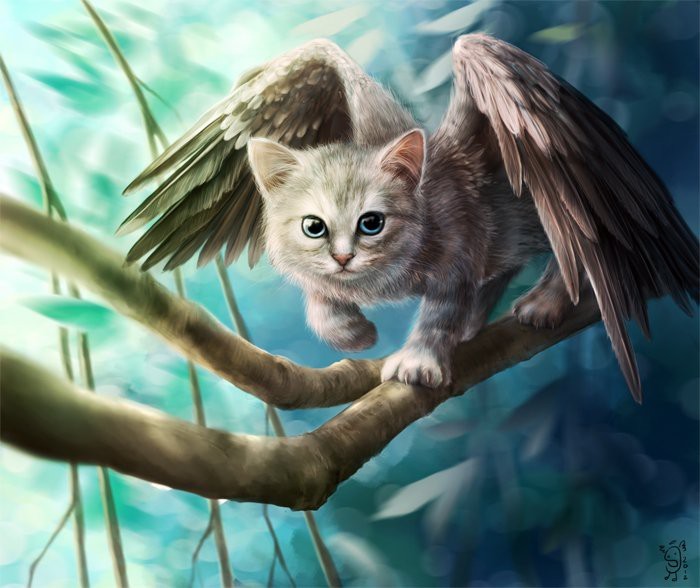 Seals... winged. - cat, Fantasy, , Longpost