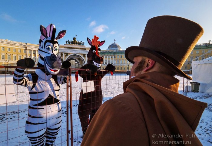 Shock! A zoo has opened in the center of St. Petersburg, on Palace Square! - Saint Petersburg, Madagascar, Zoo, Palace Square, Spring, , Humor, Shock, The photo