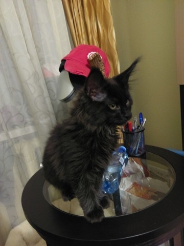 Нужна помощь Pikabu