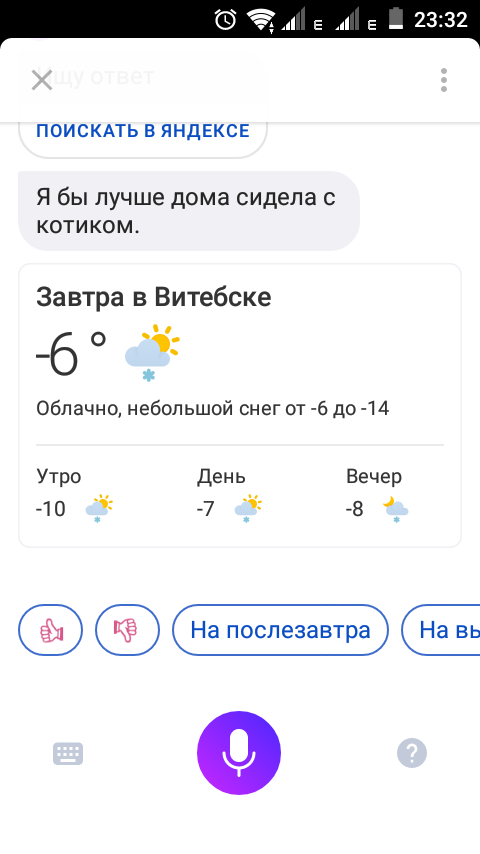 Совет дня. - Моё, Яндекс Алиса, Витебск, Прогноз погоды, Кот