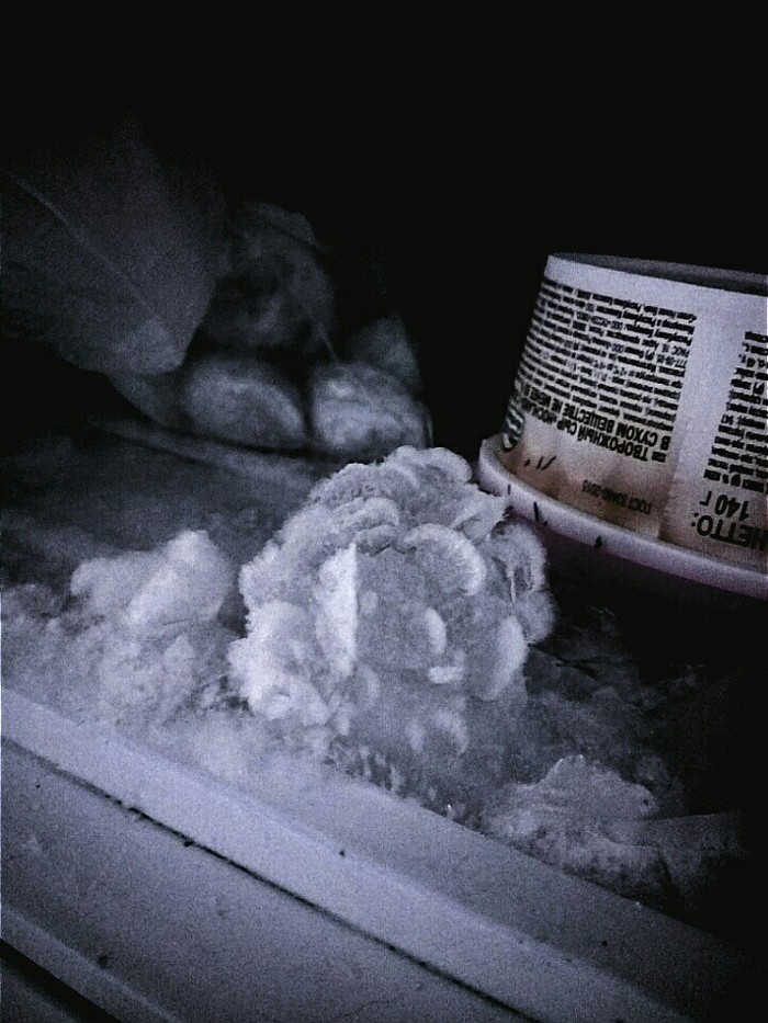 Ледяная роза.