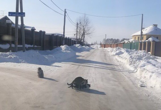 Весна пришла