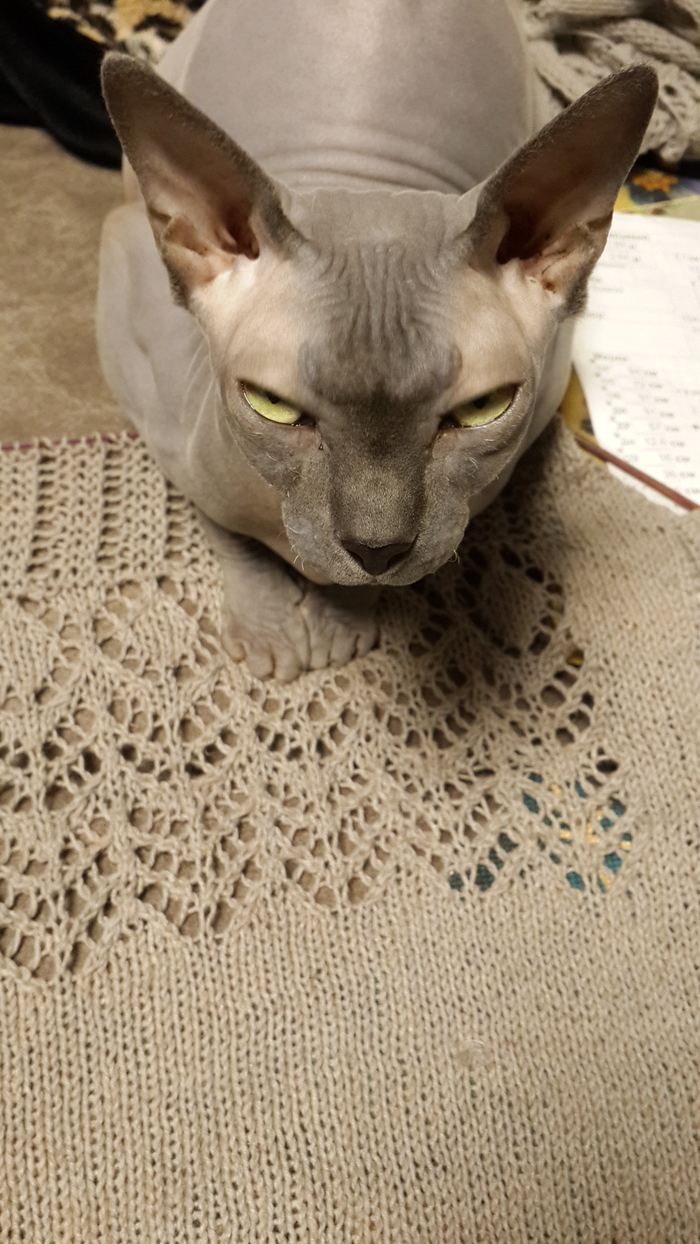 Все коты милые