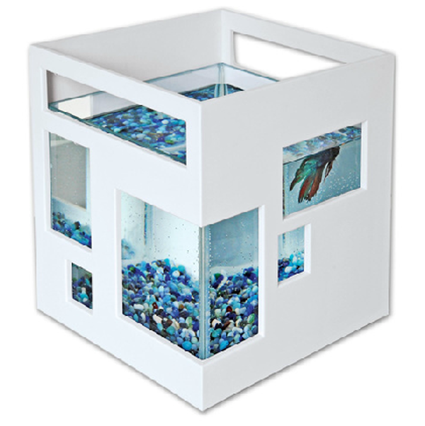 Fish Hotel Aquarium - Watercolor, Aquarium fish, Longpost