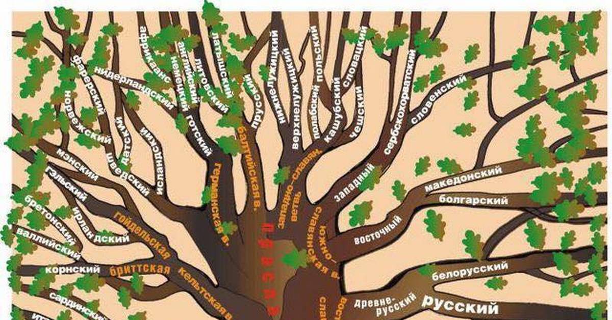 Генеалогическое древо русского языка картинки