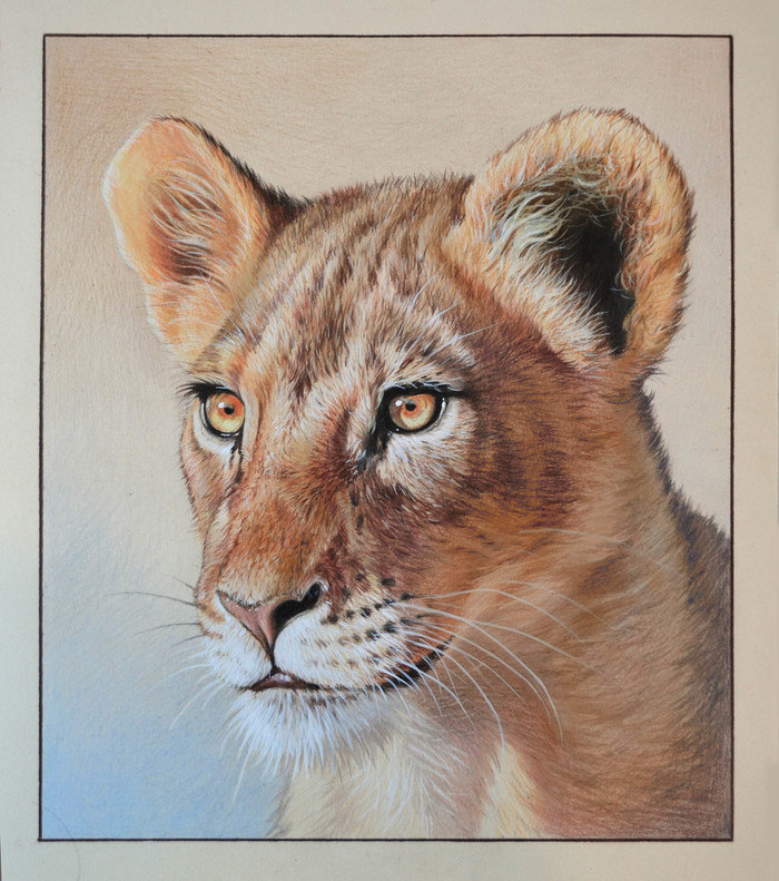 Drawing with colored pencils - My, League of Artists, a lion, Pencil drawing, Drawing, Art