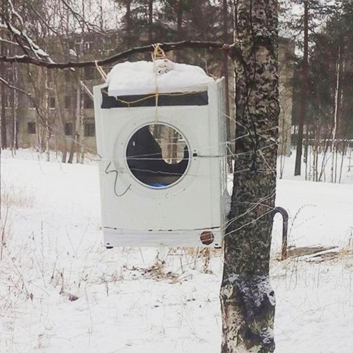 Severe Chelyabinsk feeders. - Trough, Birds, Washing machine, Chelyabinsk