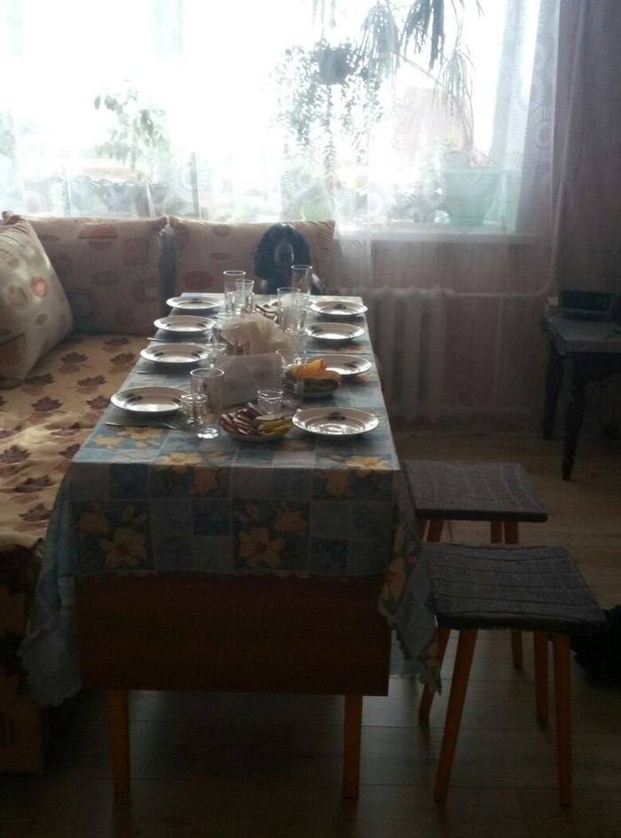 When you set the table and wait for guests - My, Dog, Guests, Feast, Zhdun, Holidays, Animals, Pets