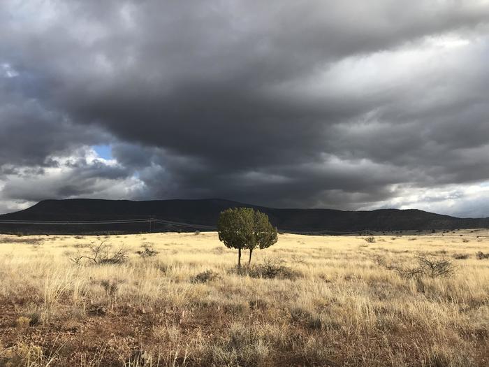 Красивый пейзаж, неподалеку от Коттонвуда (округ, Миннесота)