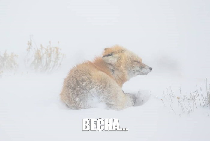 Когда достал весенние вещи ^.^