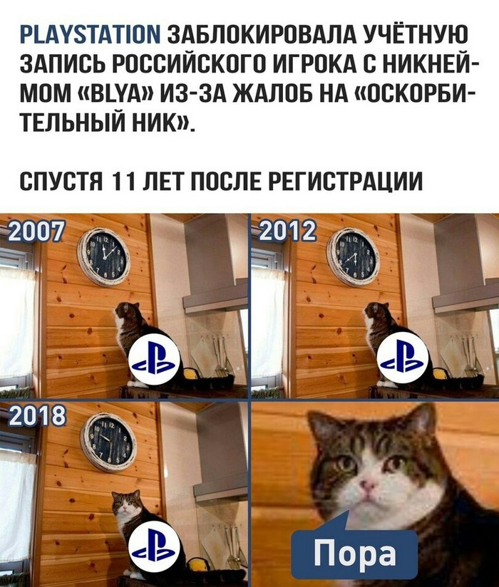 Нормальный ник) - Ник, Кот, Playstation